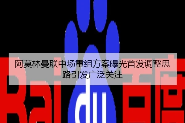 阿莫林曼联中场重组方案曝光首发调整思路引发广泛关注